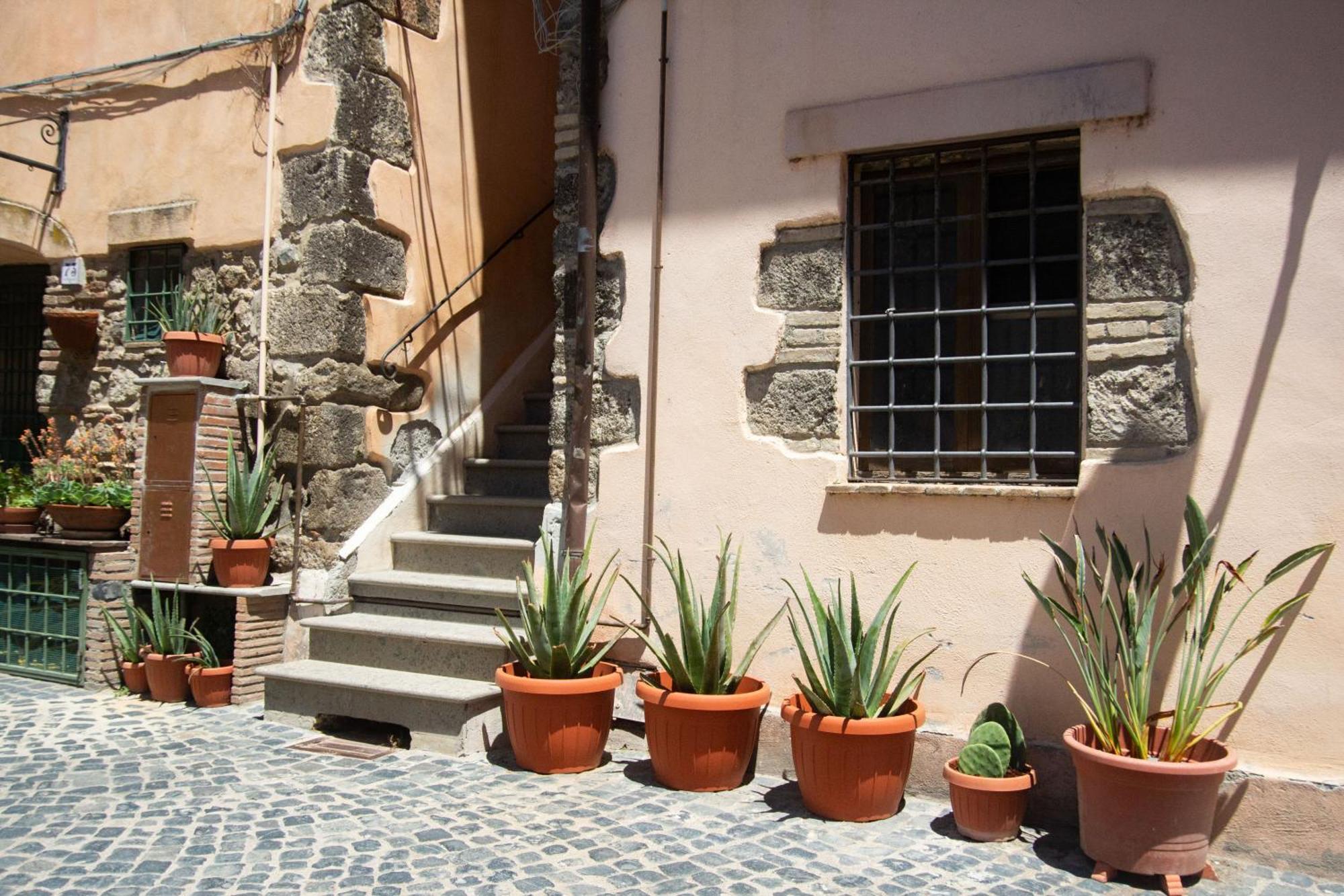 Apartamento Finestra Sul Borgo Trevignano Romano Exterior foto